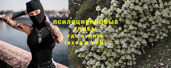 mdpv Протвино